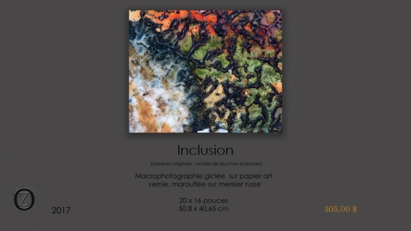 060-Inclusion-HD.jpg