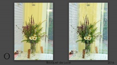 033-bouquet Luce transferts-HD