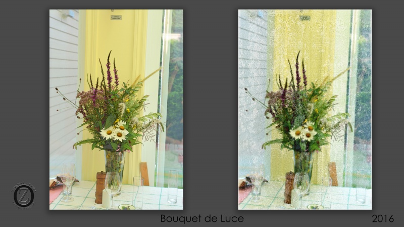 033-bouquet_Luce_transferts-HD.jpg