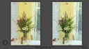 033-bouquet Luce transferts-HD