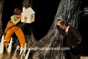 14 Forêt ds tête ph S ONeill