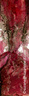 le bal 001-650x198
