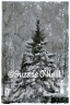 froidure-72