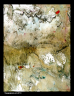 17-paysage japonais-72