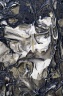 masque