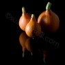 nature morte aux 3 courges