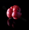 tomate-11