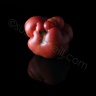 tomate-12