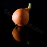 courge-solo-1